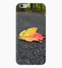 Colors Of Fall iPhone-Hülle & Cover