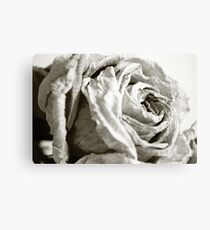 Silken Canvas Print