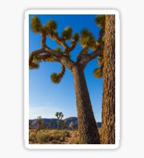 Joshua Tree Sticker