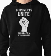 Introverts unite separately in your own homes Pullover Hoodie