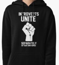 Introverts unite separately in your own homes Pullover Hoodie