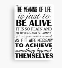 Meaning of Life Canvas Print