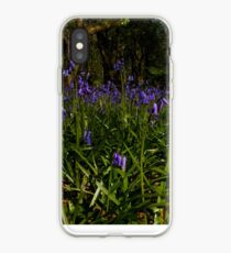 Bluebells in Prehen Woods iPhone Case