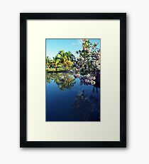 reflection Framed Print