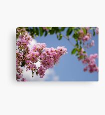 Blossoms Canvas Print