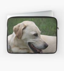 Yellow Lab Laptop Sleeve