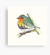 oiseau paysage Canvas Print