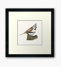 oiseau paysage Framed Print