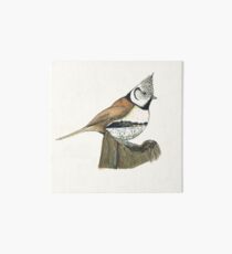 oiseau paysage Art Board