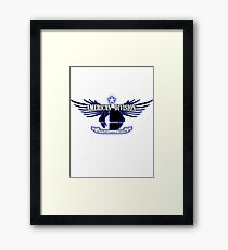 Super Smash Bros. American Division Framed Print