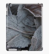 Frozen iPad Case/Skin