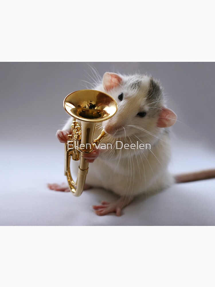 The Euphonium. by Ellen