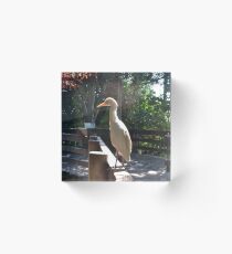Heron on the Fence Acrylic Block