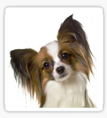 papillon Sticker