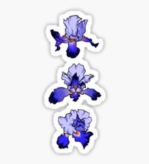 Iris - February Birth Month Sticker