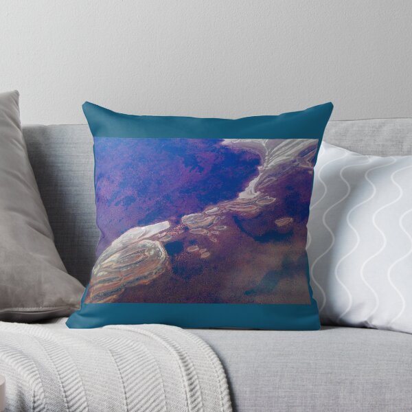 Australian Desert 2 Throw Pillow