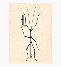 hi there Photographic Print