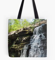 Brandywine Falls Tote Bag