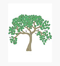 Tree of life Photographic Print