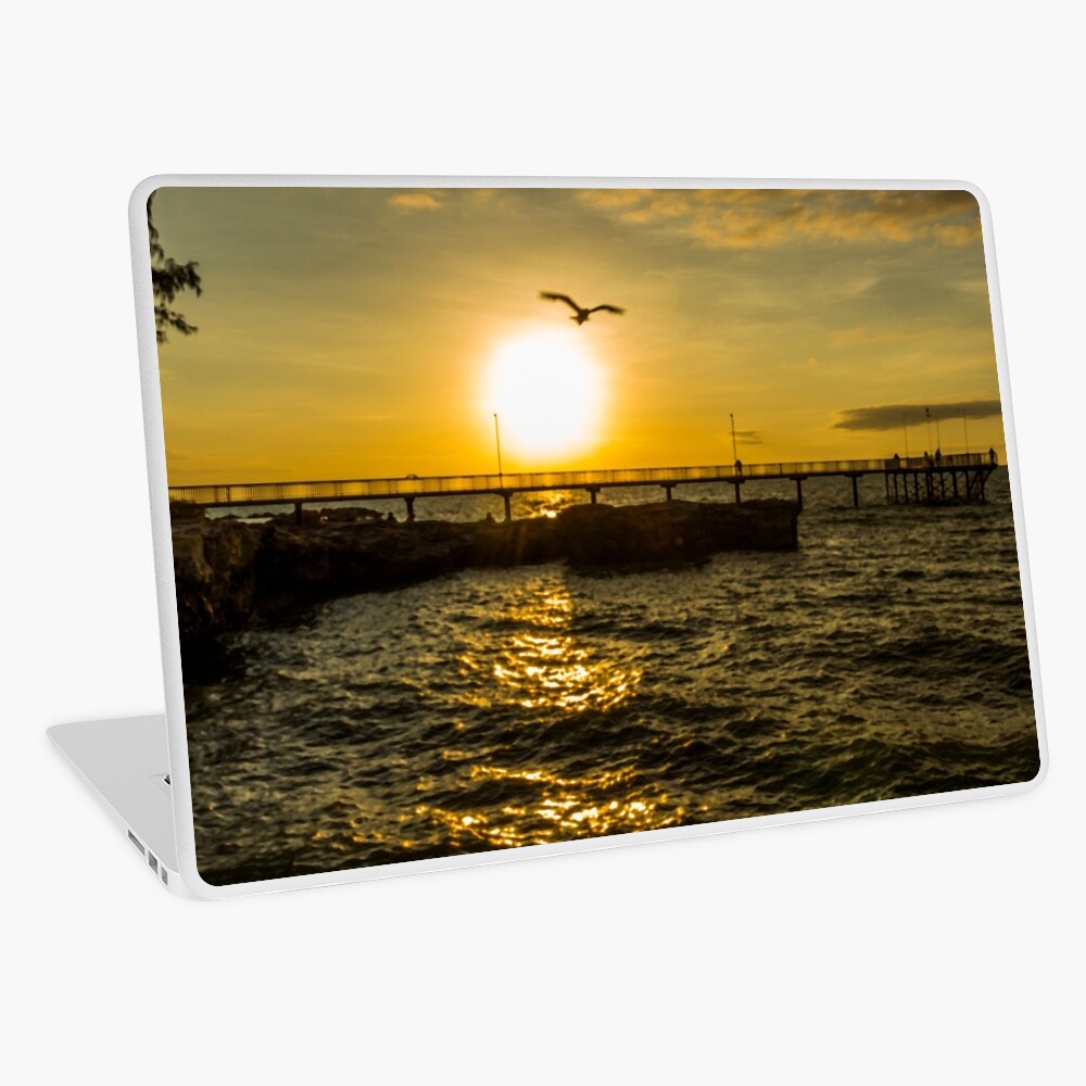 Fly off into the sunset Laptop Skin