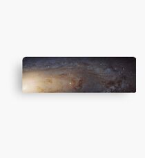 M31 Andromeda Galaxy Canvas Print