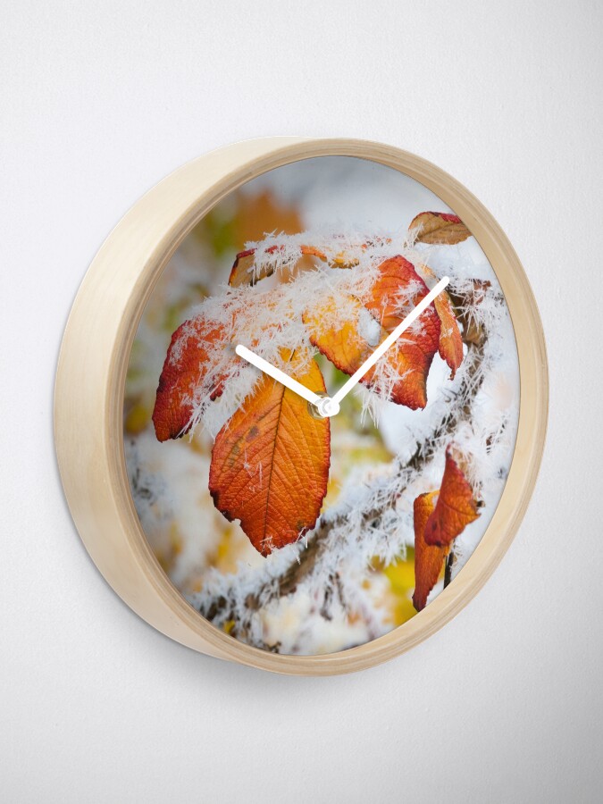 Alternate view of Rose bush frozen autumn color leaves Clock