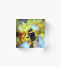 BUMBLE Acrylic Block