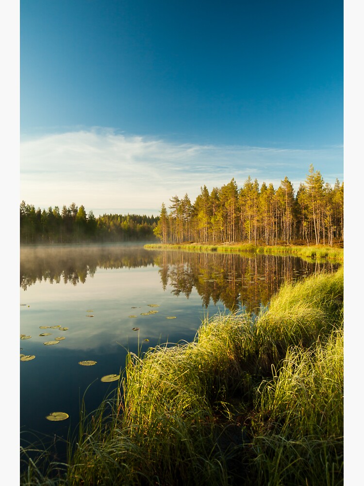 Morning at forest lake by Juhku