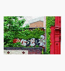 Graffiti Photographic Print