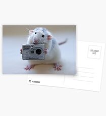 Its not easy being a good photographer! Postcards