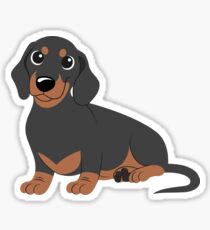 Miniature Dachshund - Black & Tan Sticker