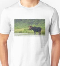Bull Moose - Algonquin Park, Canada Unisex T-Shirt