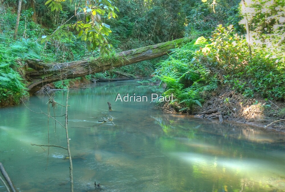 "North Johnstone River, Malanda, Queensland" by Adrian Paul Redbubble