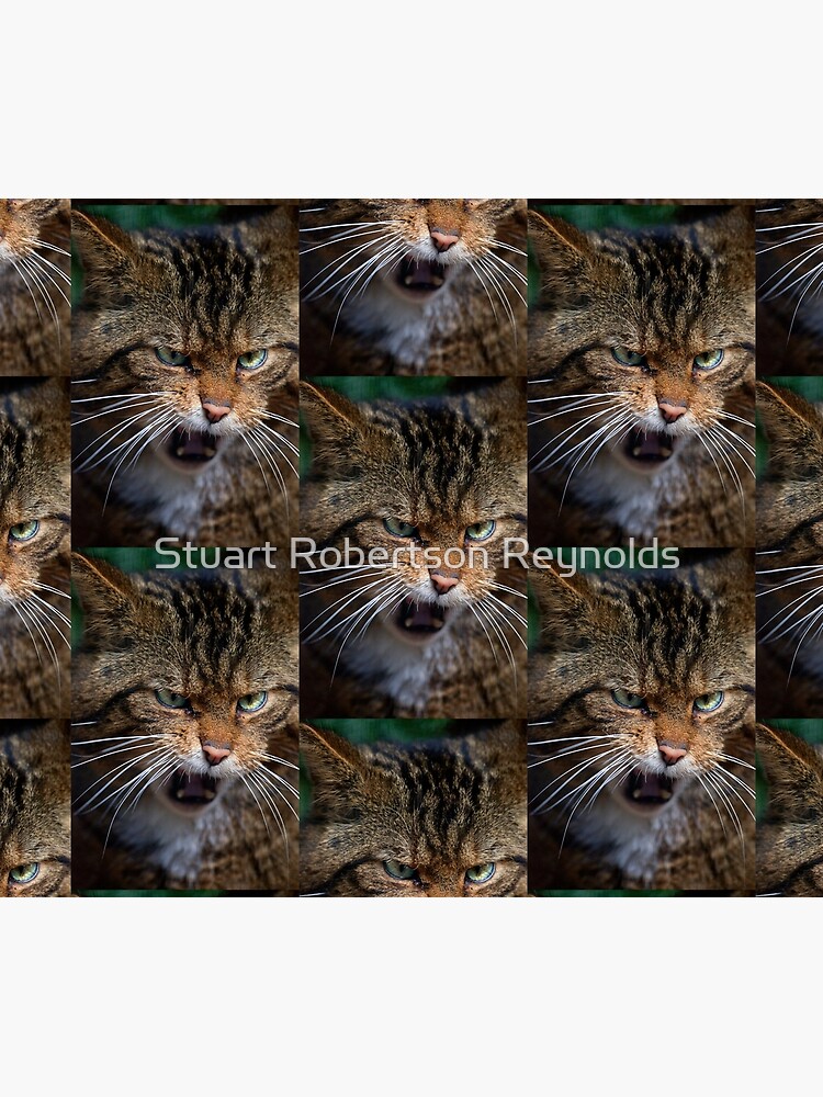 Scottish Wildcat, less than 400 remain... by Sparky2000