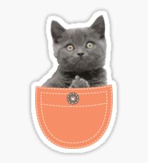 cat pocket middle finger