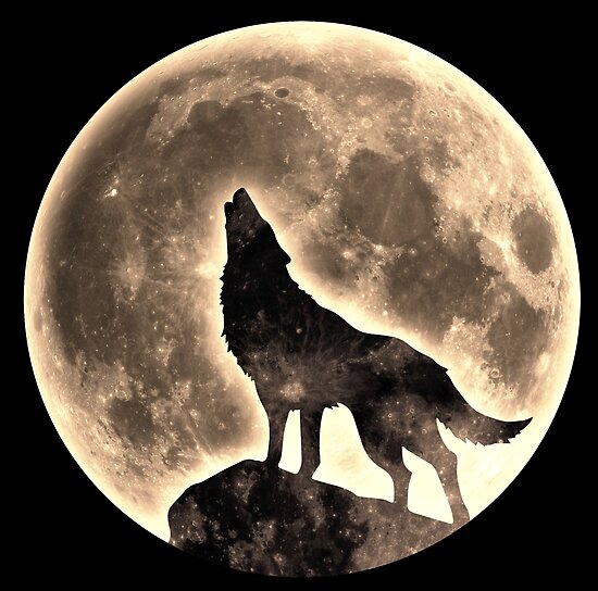 Resultado de imagen para lobo luna llena