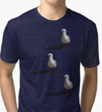 Seagull Tri-blend T-Shirt