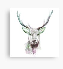 Beautiful winter reindeer painting, reindeer Canvas Print