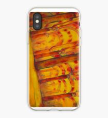 Cordoba Mosque iPhone Case