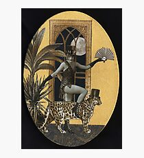 Felinae & Belize Photographic Print