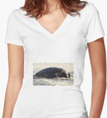 Turtle Resting - Heron Island, Australia Women's Fitted V-Neck T-Shirt