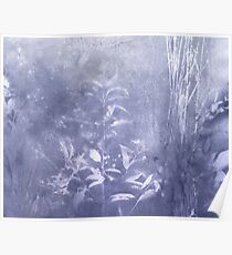 periwinkle blue rush Poster