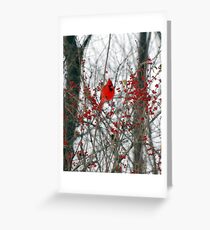 Cardinal Greeting Card