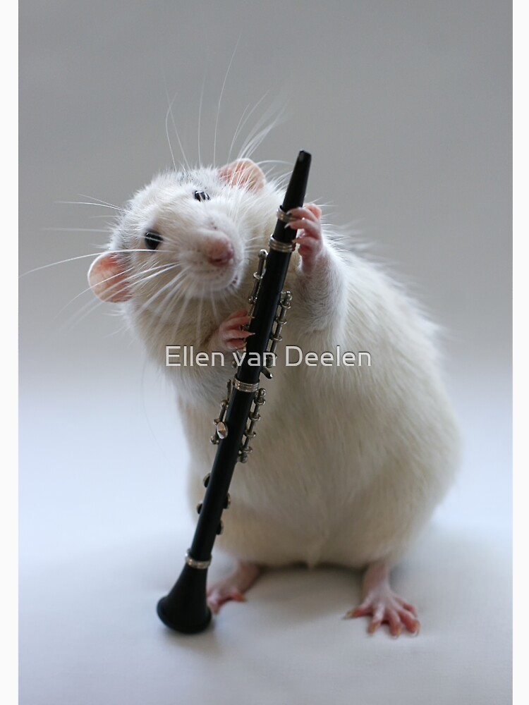 My new Clarinet. by Ellen