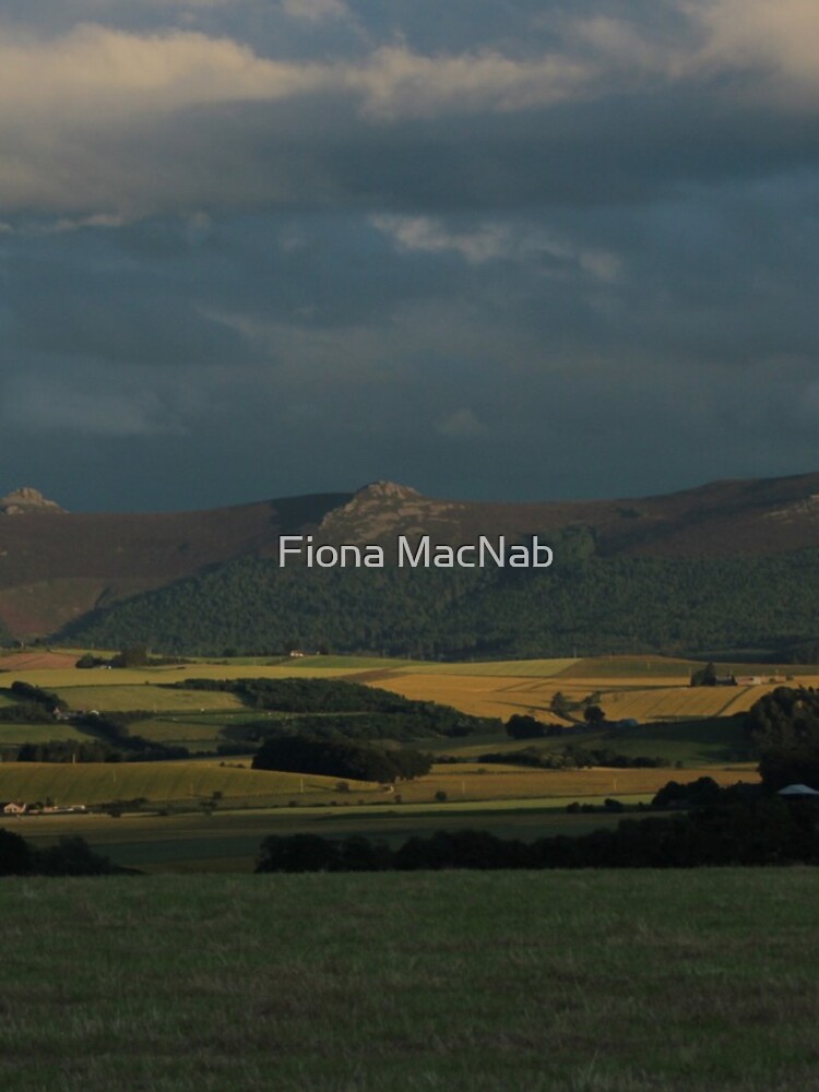Bennachie view by orcadia