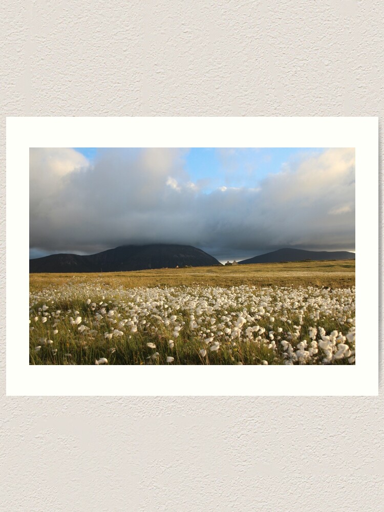 Alternate view of Hoy Hills from Graemsay Art Print