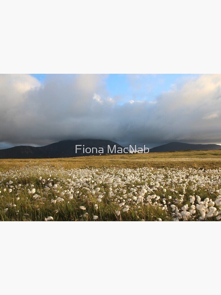 Hoy Hills from Graemsay by orcadia
