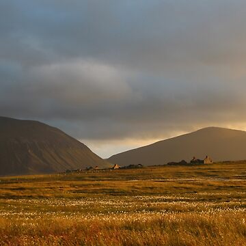 Artwork thumbnail, Evening light on Hoy and Graemsay by orcadia