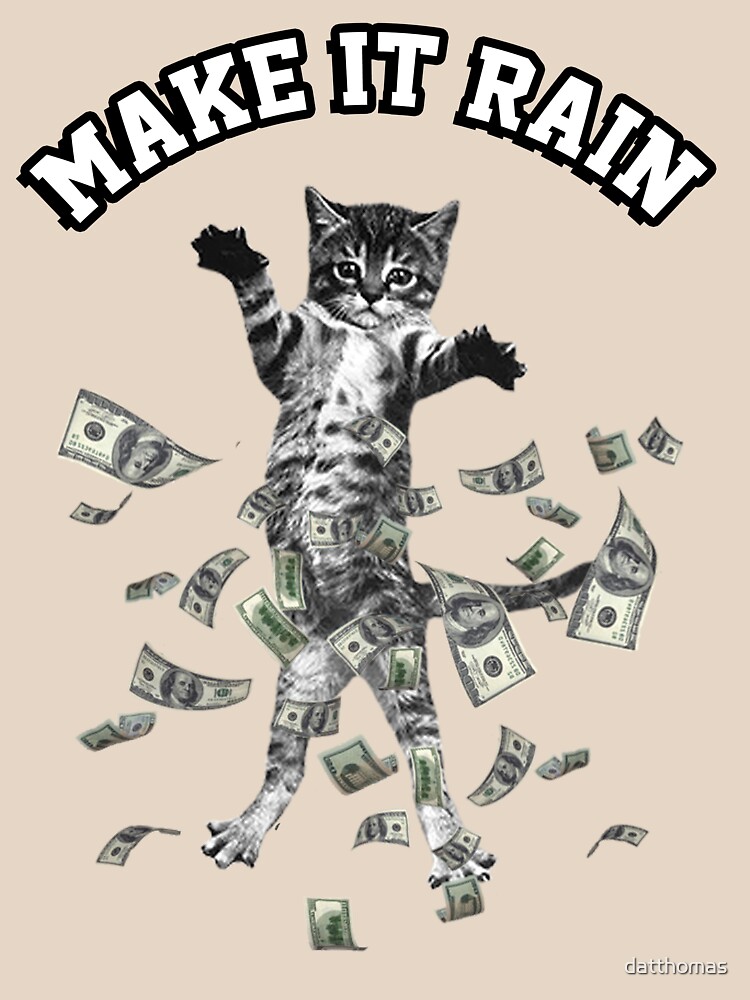 "Dollar bills kitten - make it rain money cat" T-shirt by ...