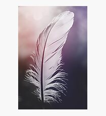 Feather in Pastel Tones Photographic Print